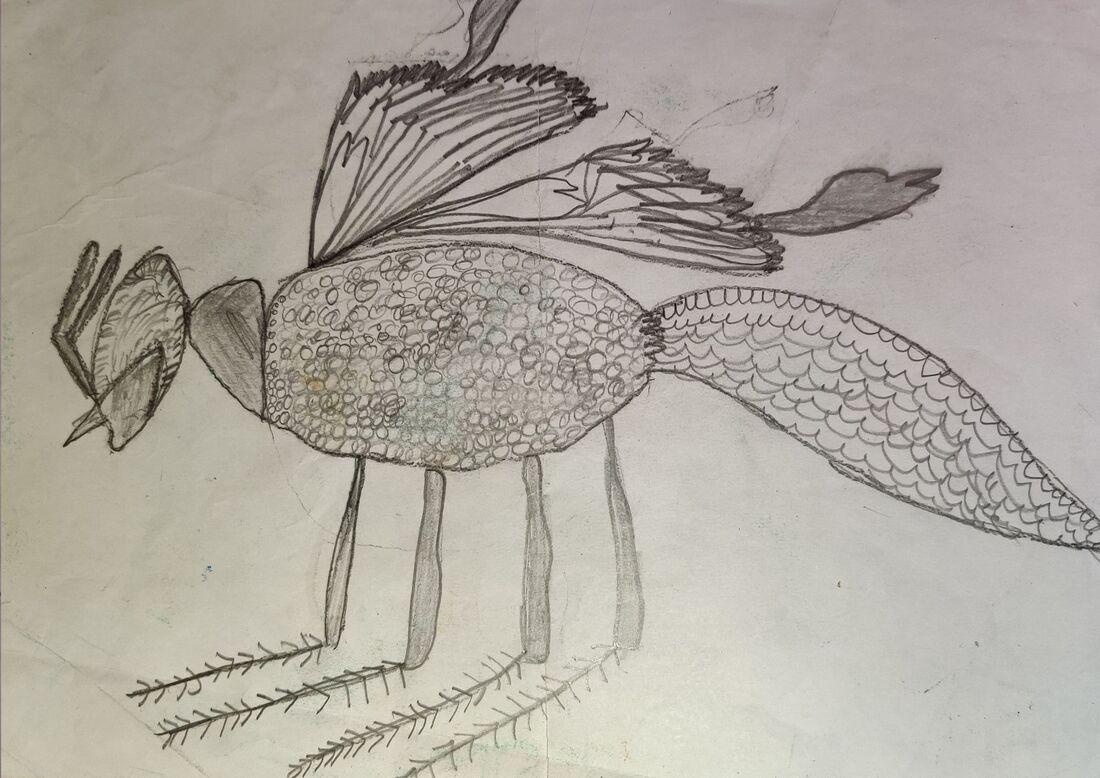 Imaginary Insect Drawing - Artsparks Foundation